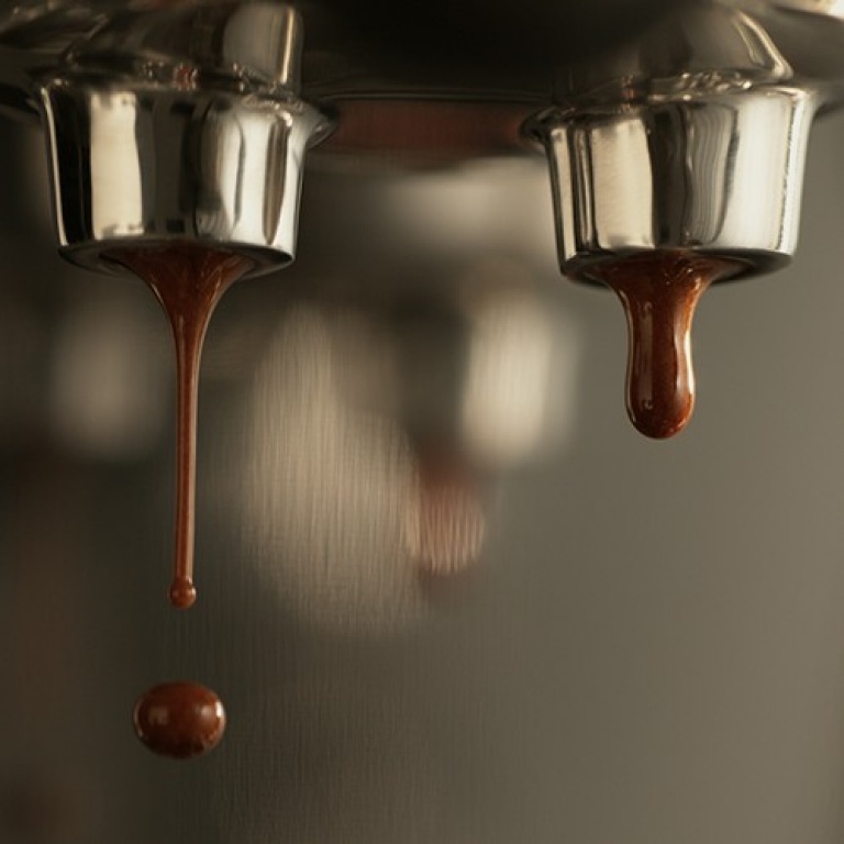 55 1 - اسپرسوساز سیج مدل SES500BSS